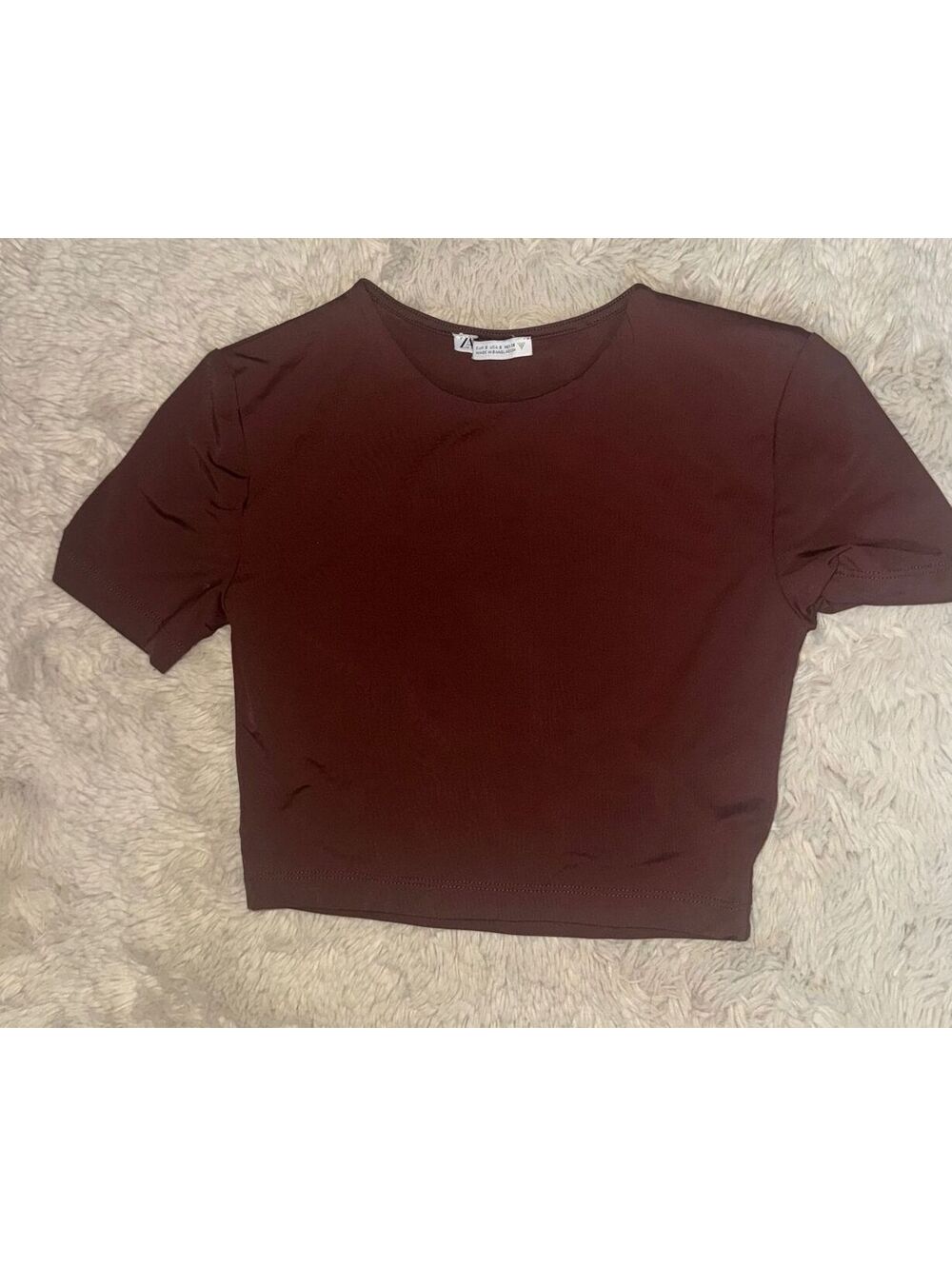 Zara Brown Cropped T Shirt Size Small Minimalist Fitted Short Sleeve Top